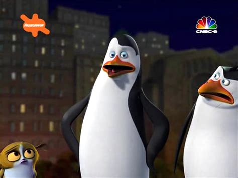 Kowalski - Penguins of Madagascar Photo (32442182) - Fanpop