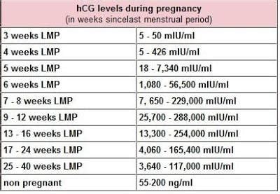 hCG Levels by Week: What You Need to Know | Peanut