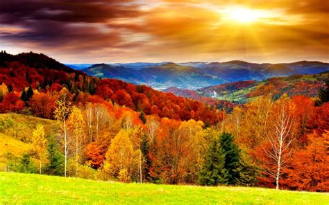 Free Autumn Desktop Wallpaper Pictures - WallpaperSafari