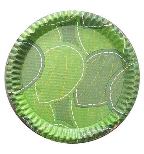 Printed Eco Friendly Disposable Plate at Rs 5/piece | Eco Friendly ...