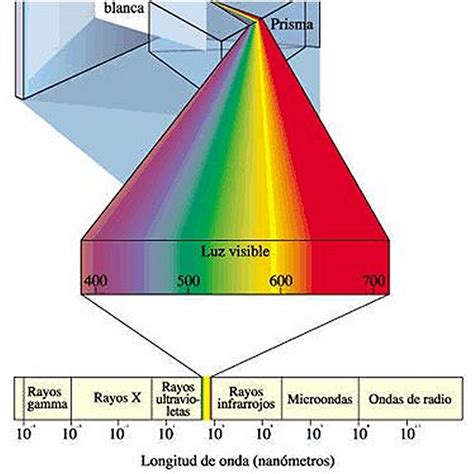 Cual Es El Espectro Visible Del Ojo Humano - Consejos Ojos