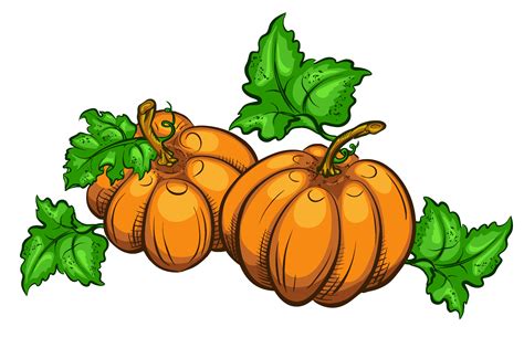 thanksgiving pumpkin clipart - Clipground