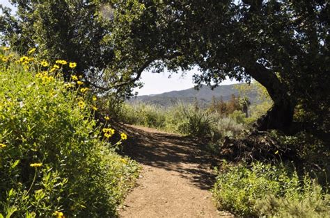 Hiking Path Free Stock Photo - Public Domain Pictures