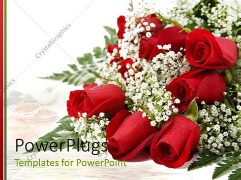 PowerPoint Template: bouquet of dozen red roses with the white ...