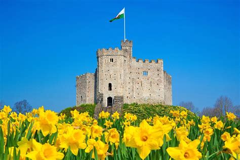 20 Top Tourist Attractions & Places to Visit in Cardiff | PlanetWare