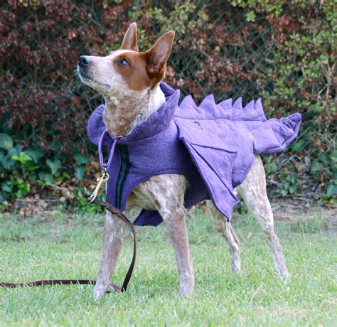 Dog Dinosaur Dragon Costume Outfit Hooded Pajamas Dog halloween costume ...