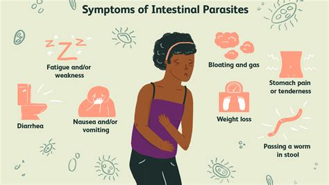 What Are The Symptoms Of Hookworms In Humans - kawevqlocation