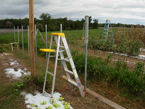 Browder's Fresh Pickins: High Tunnel Construction Begins