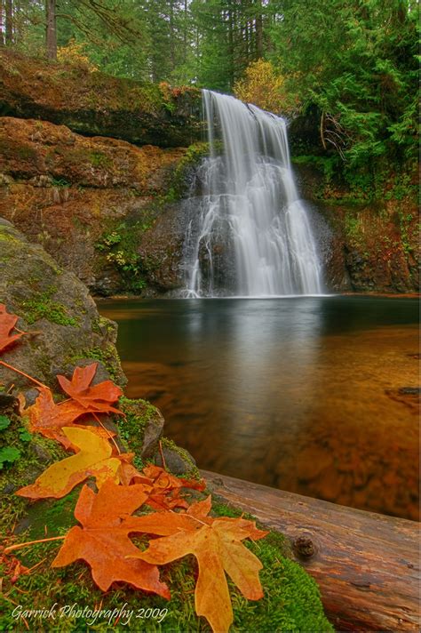 20 Stunning Photos Of Oregon's Fall Foliage | That Oregon Life