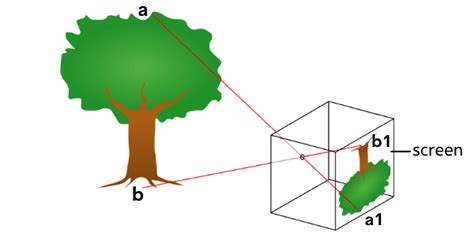 What is a Pinhole Camera, How Does a Pinhole Camera Work?