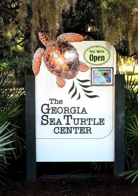 Capture America Journal: Jekyll Island GA - turtle center and bird ...