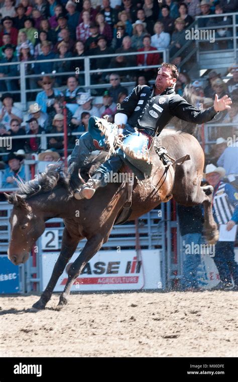 Saddle bronc riding hi-res stock photography and images - Alamy