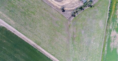 Free stock photo of aerial, canola, drone