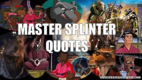 45 Master Splinter Quotes For Wisdom And Inspiration - Motivate Amaze ...