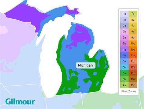 Michigan Hardiness Zone Map - Alayne Lisabeth