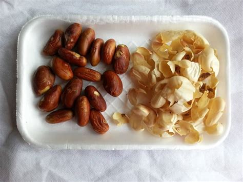 15+ Recipes For Jackfruit Seeds - HelenShazia