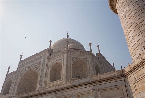 250+ Taj Mahal Calligraphy Stock Photos, Pictures & Royalty-Free Images ...