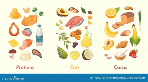 Set Of Main Food Groups, Macro And Micronutrients Stock Photo ...