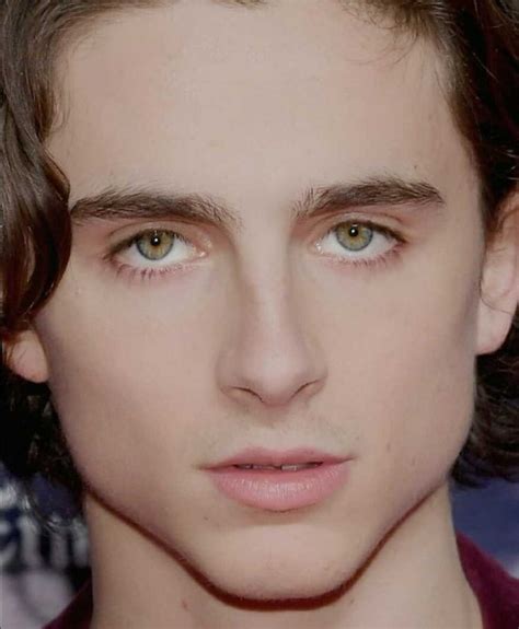 Timothée Chalamet