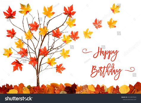 22,178 November Birthday Images, Stock Photos & Vectors | Shutterstock