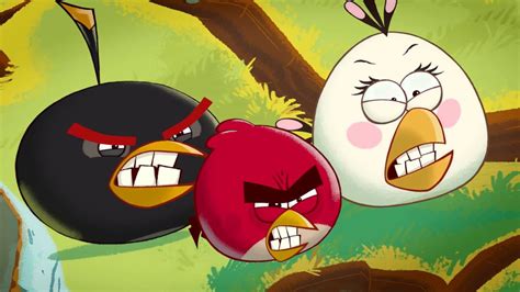 Angry Birds Toons - Season 1: Teaser - YouTube