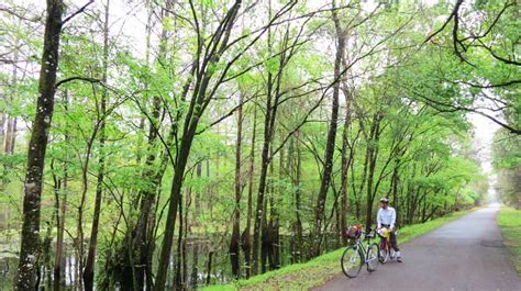 Withlacoochee Trail might be Florida's best bike trail