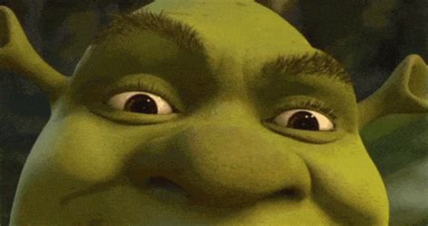 Shrek Gif - IceGif