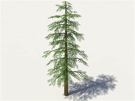 Conifer Tree Green 3D Model - 3D Models World