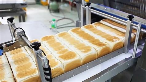 Modern Food Processing Technology - Amazing Automatic Food Processing ...