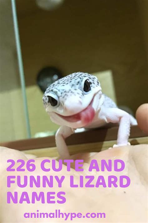 Cute & Funny Lizard Names | Lizard names, Funny lizards, Cute pet names