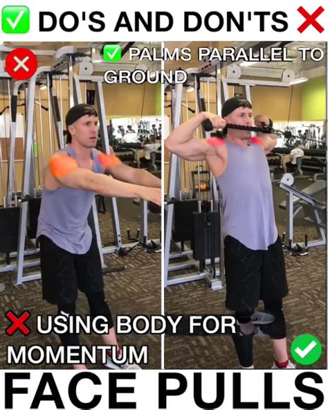 Face Pulls Proper Form | Video & Guide