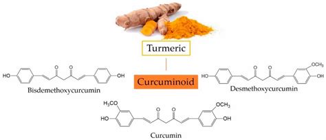 Turmeric & curcumin health benefits