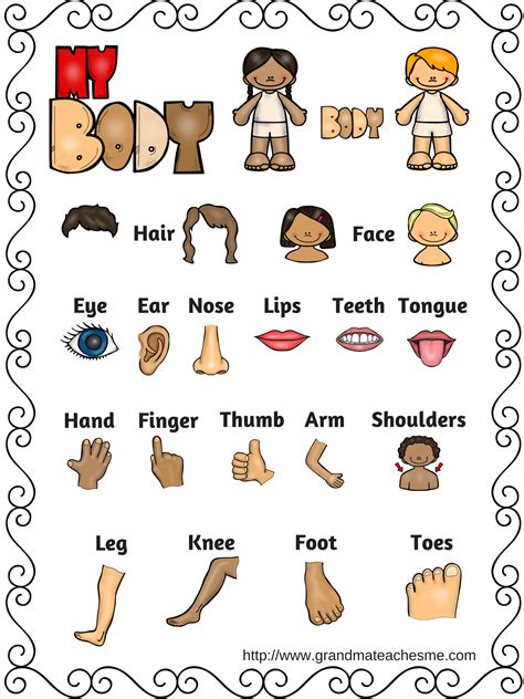 Body Part Chart Emotions Preschool, Body Parts Preschool, Preschool ...