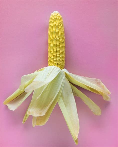 Easy Techniques for Shucking Corn