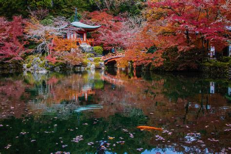 Planning a Japan Fall 2024 Trip? Here's What to Know