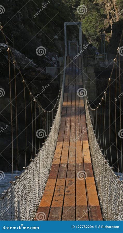 Suspension Bridge, Tsitsikamma National Park Stock Photo - Image of ...