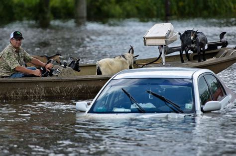 Louisiana Flooding Is ‘Worst Natural Disaster’ Since Superstorm Sandy ...