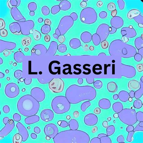 5 Lactobacillus Gasseri Health Benefits: Digestive and Nasal ...