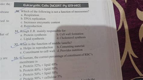 What is the function of middle lamella? | Filo