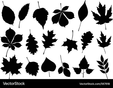 Autumn leaf silhouettes Royalty Free Vector Image