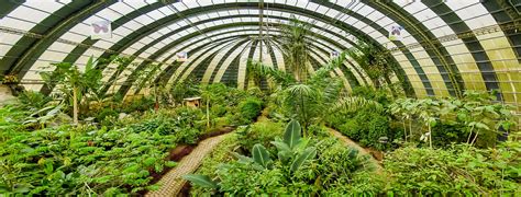 Butterfly garden in Monteverde, Costa Rica | Selvatura Park