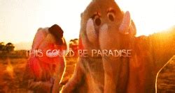 coldplay | Coldplay paradise, Coldplay, Elephant world