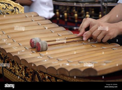 Thai musician performing a Ranat Ek (traditional Thai xylophone Stock ...