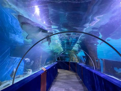 Your Guide to Visiting the Greater Cleveland Aquarium