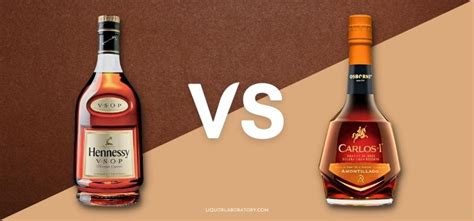 Cognac vs Brandy: What's The Difference? Best Guide 2024