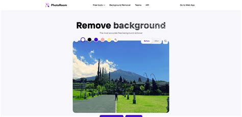 How to Remove the Background of an Image (7 Online Tools)