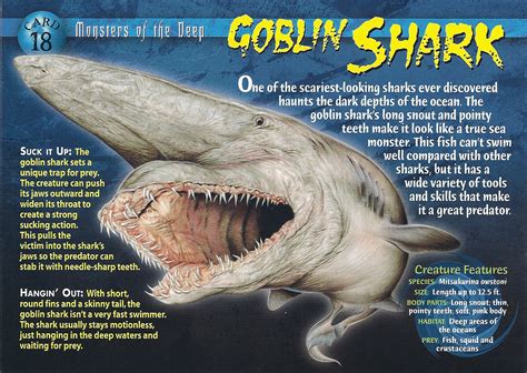 Goblin Shark | Wierd N'wild Creatures Wiki | FANDOM powered by Wikia