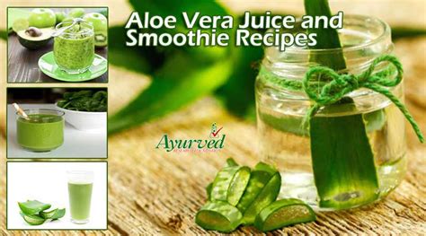 5 Healthy Aloe Vera Juice and Smoothie Recipes to Detox Your Body