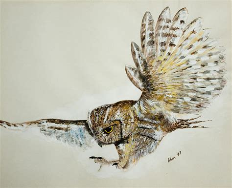 Owl In Flight by Alan Pickersgill