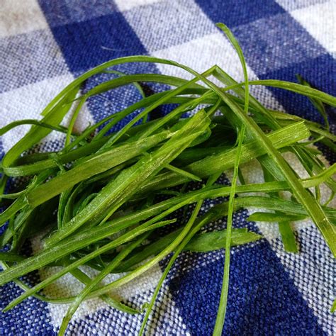 Turnips 2 Tangerines: How to make Green Onion Garnishes